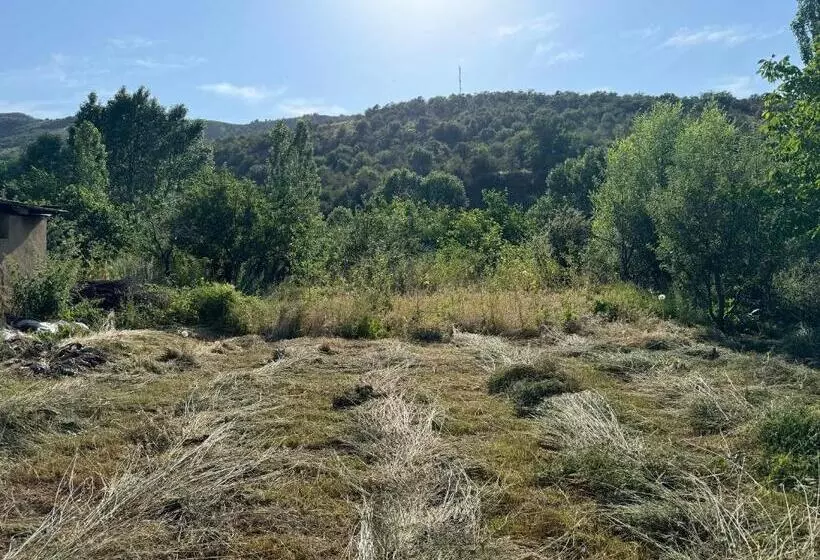 Chimgan Forest Garden Camping Resort