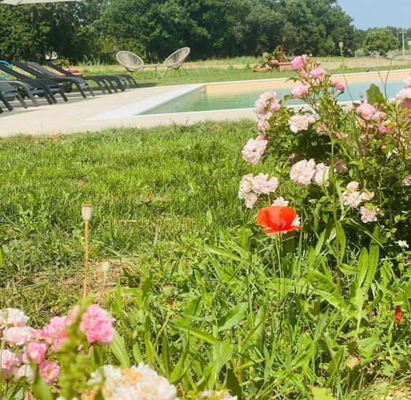 호텔 Agriturismo Borgo Delle Rose