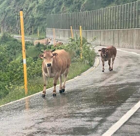 Coronel Somiedo By Unusual Hotels