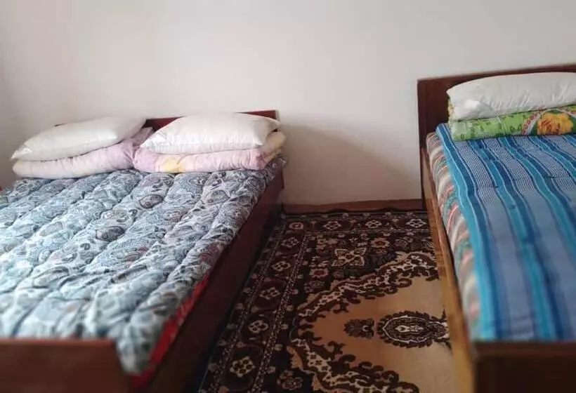 پانسیون баяс
