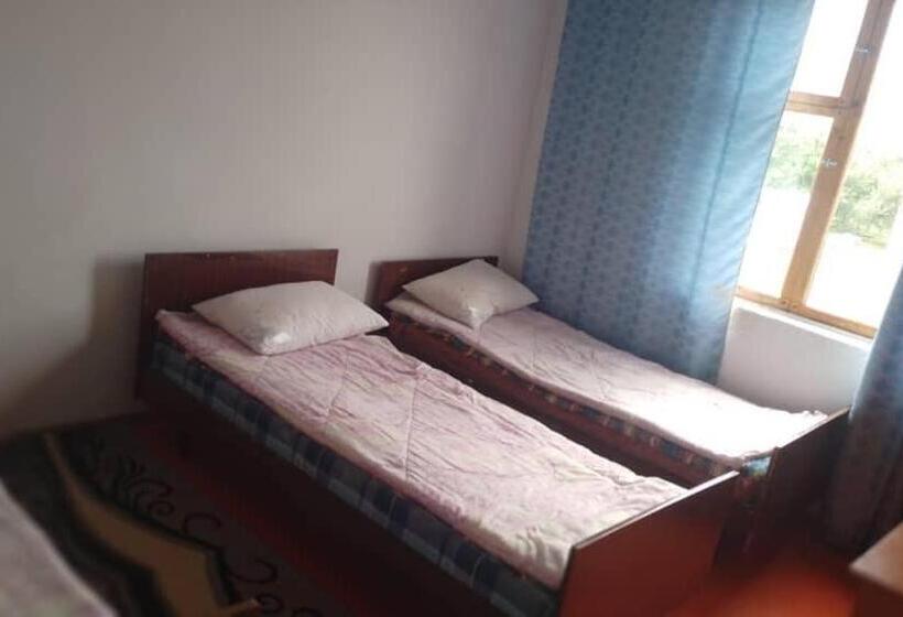 پانسیون баяс