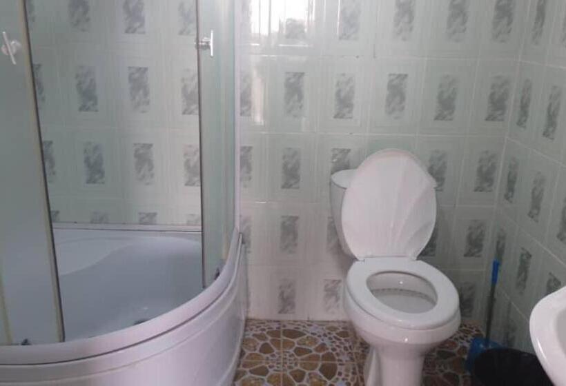 پانسیون баяс