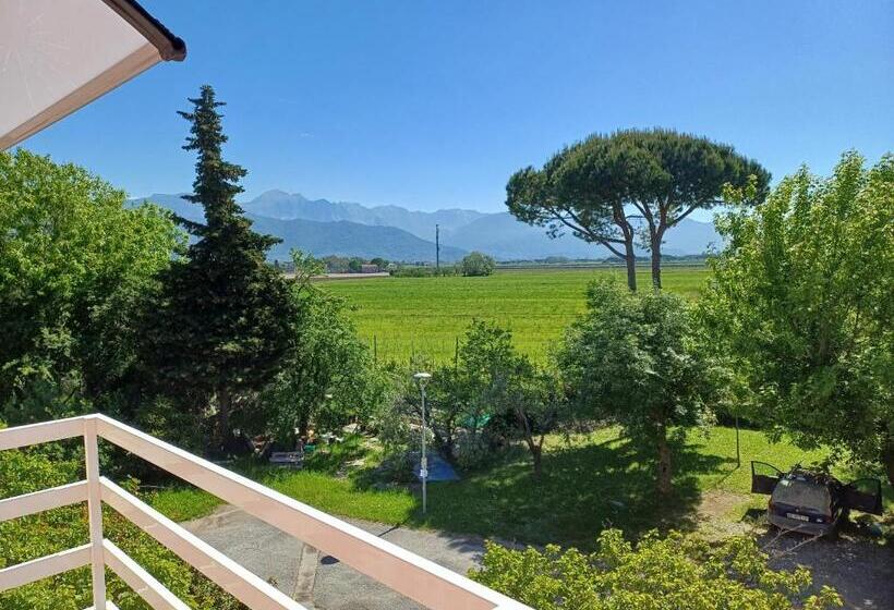 Пансион Disma Rooms