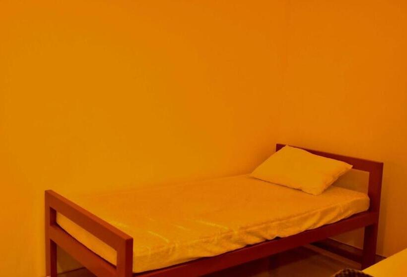 بنسيون Lake Forest Lodge