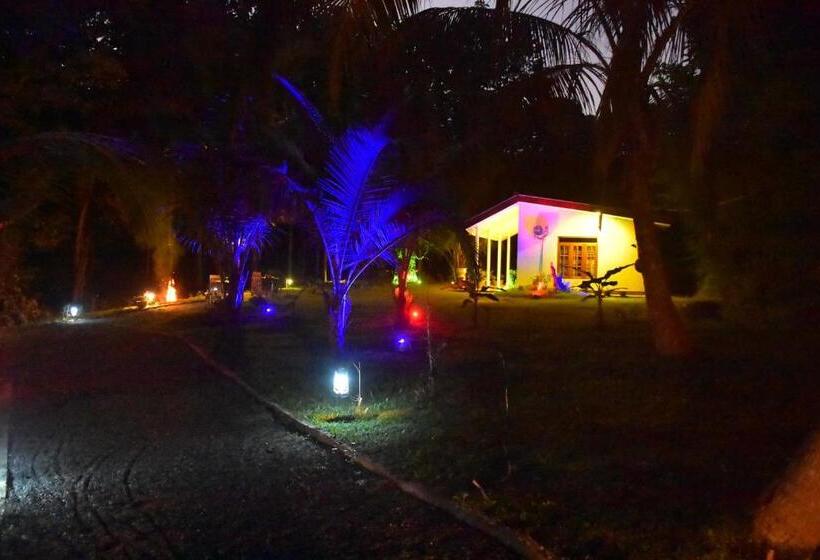 بنسيون Lake Forest Lodge