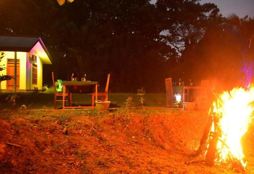 بنسيون Lake Forest Lodge