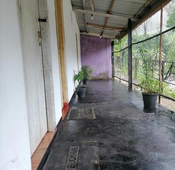 旅馆 Pure Land Villa