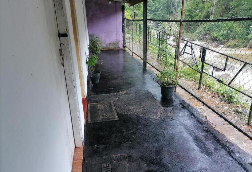 旅馆 Pure Land Villa