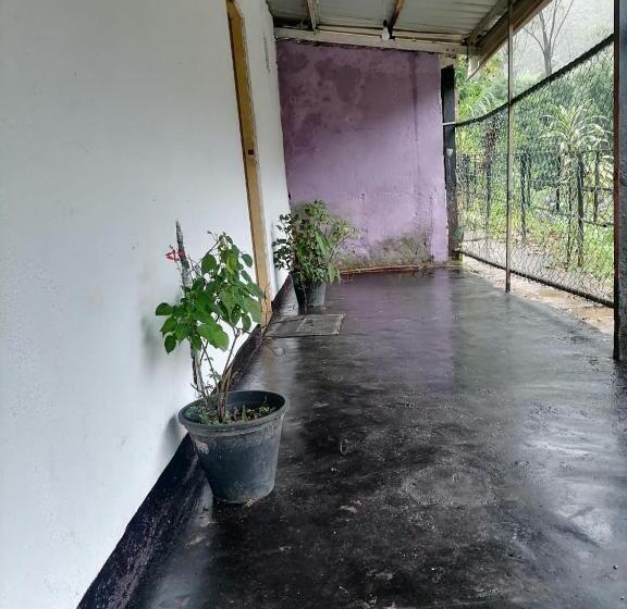 旅馆 Pure Land Villa