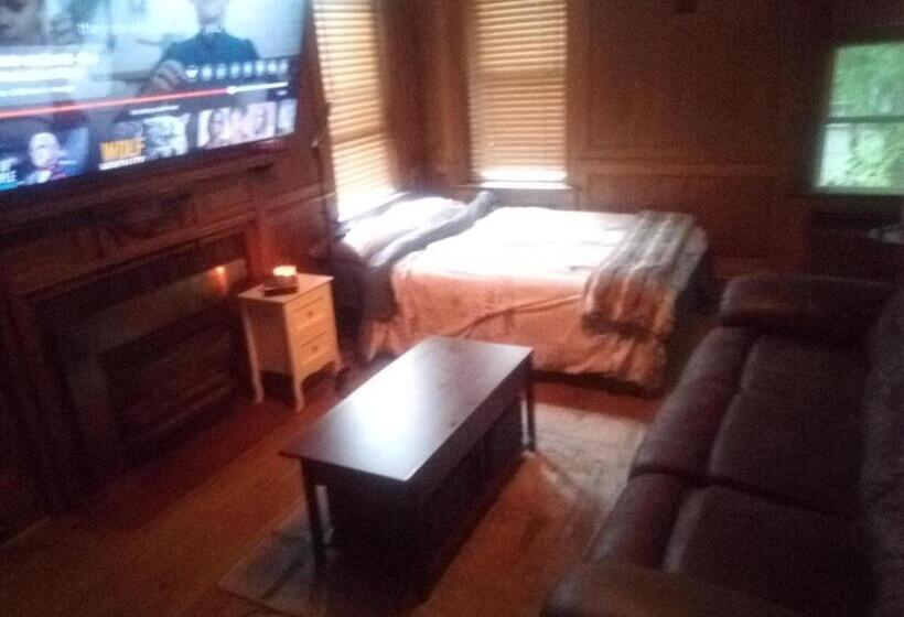 Bed and Breakfast Dunjen Manor