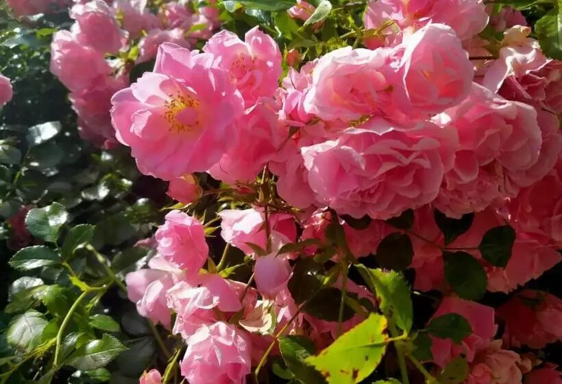 Aamiaismajoitus (B&B) La Chambre Du Château De Puisseguin