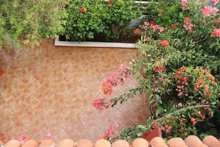 Bed & Breakfast Maison D Hôte Sur La Plage De Bouznika