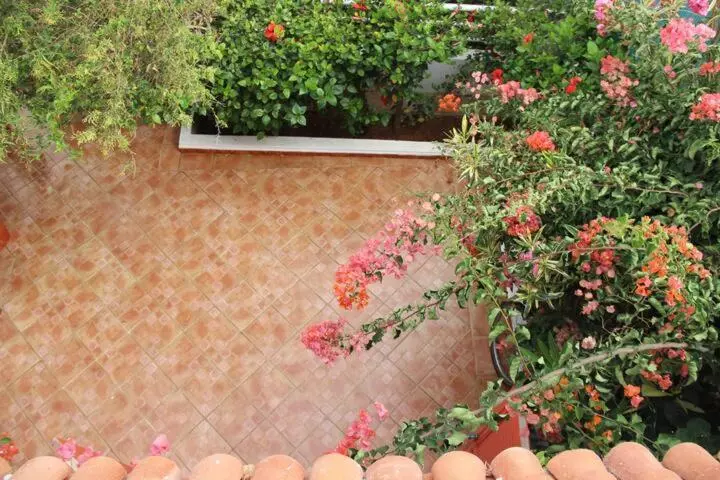 Aamiaismajoitus (B&B) Maison D Hôte Sur La Plage De Bouznika