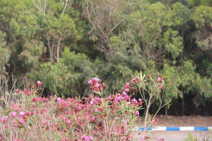 Bed and Breakfast Maison D Hôte Sur La Plage De Bouznika