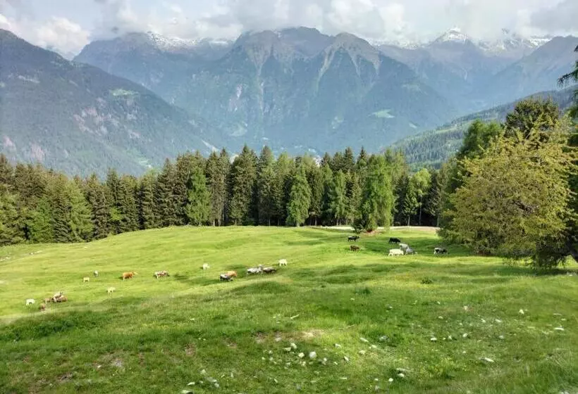 Hotel Malga Plan