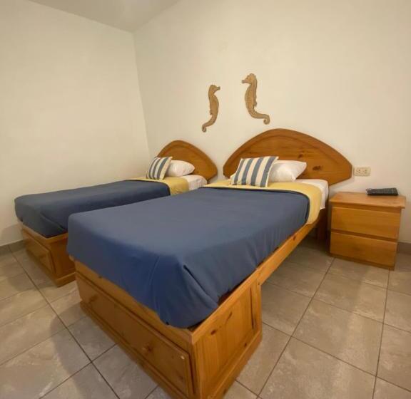 Ravenala Paracas Hostel