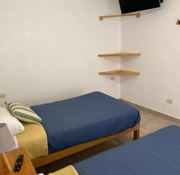 Ravenala Paracas Hostel