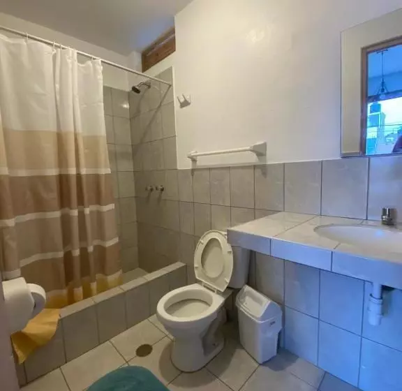 Ravenala Paracas Hostel