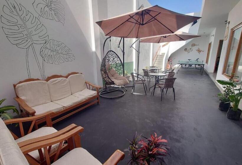 Ravenala Paracas Hostel