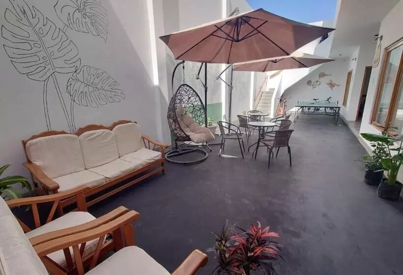 Ravenala Paracas Hostel