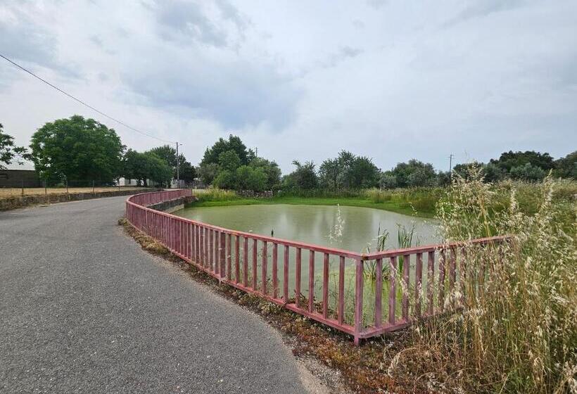 ベッドアンドブレックファースト Casal Cura   Adults Only