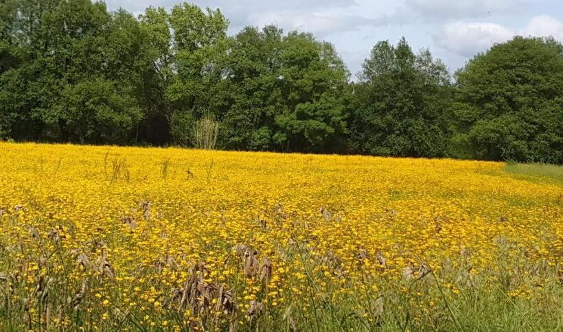 ベッドアンドブレックファースト Casal Cura   Adults Only