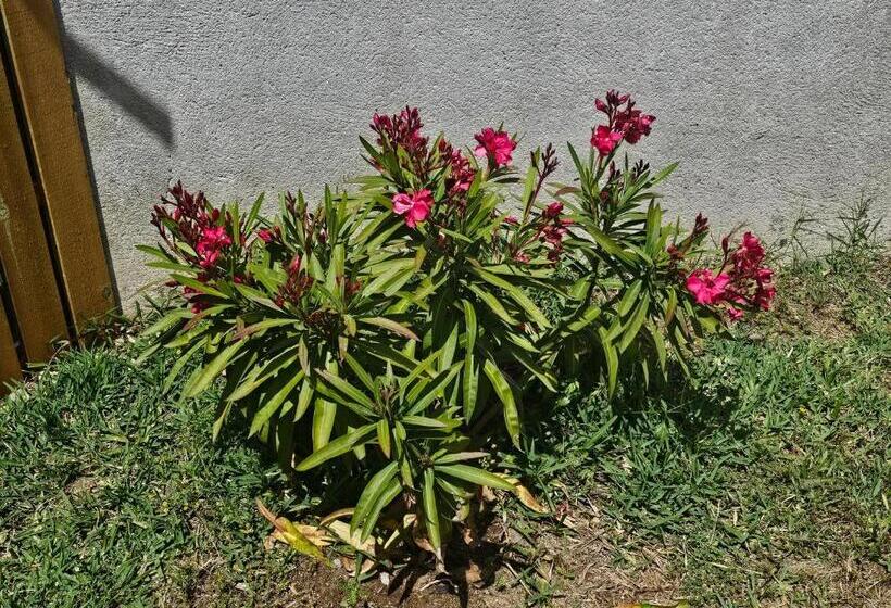 ベッドアンドブレックファースト Casal Cura   Adults Only