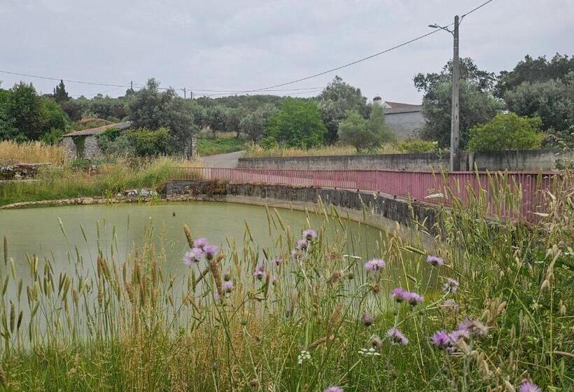 ベッドアンドブレックファースト Casal Cura   Adults Only