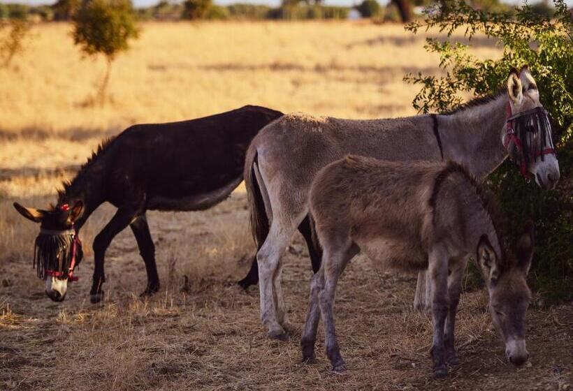 Bed and Breakfast Trendy Luxe Garden Suite Completely Private