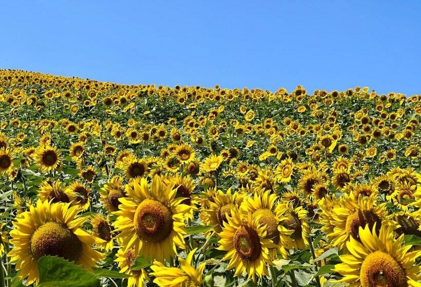 민박 Le Manoir De Jasmine