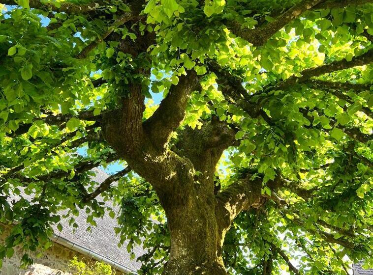 민박 Le Manoir De Jasmine