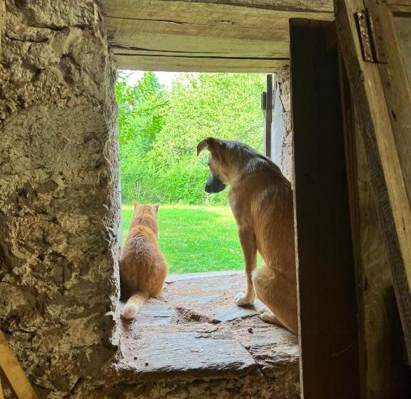 민박 Le Manoir De Jasmine