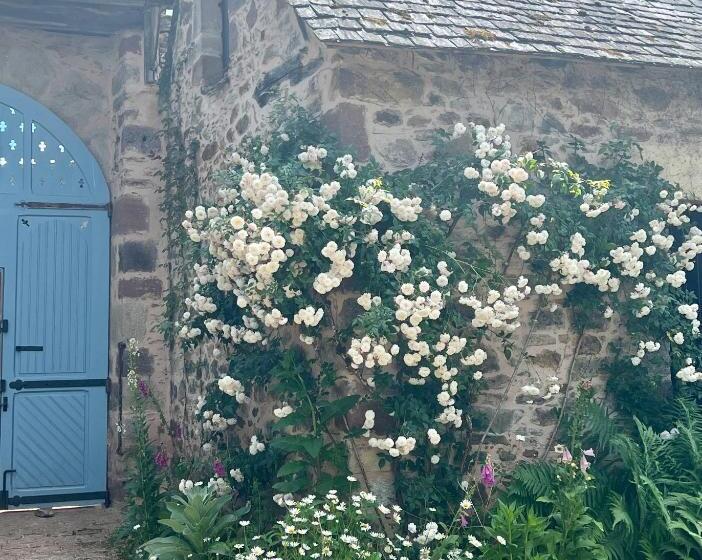민박 Le Manoir De Jasmine