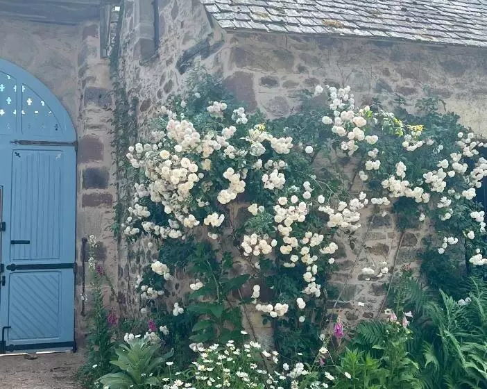 ベッドアンドブレックファースト Le Manoir De Jasmine