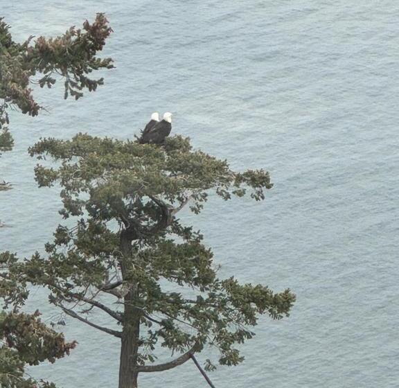 צימר Sahhali On The Bluffs East Room