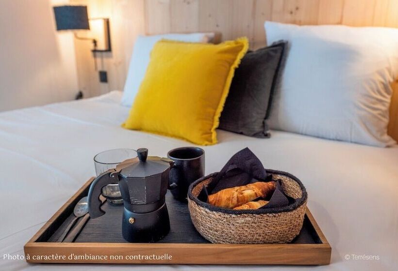 Terresens   Le Quartz   New