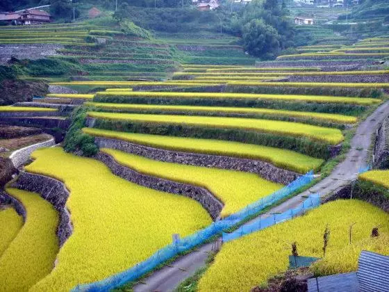 Hotelli Global Resort Nukui