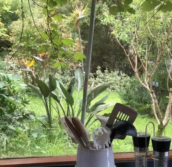 ホテル Kahmahnee   Apollo Bay Dog Friendly Retreat