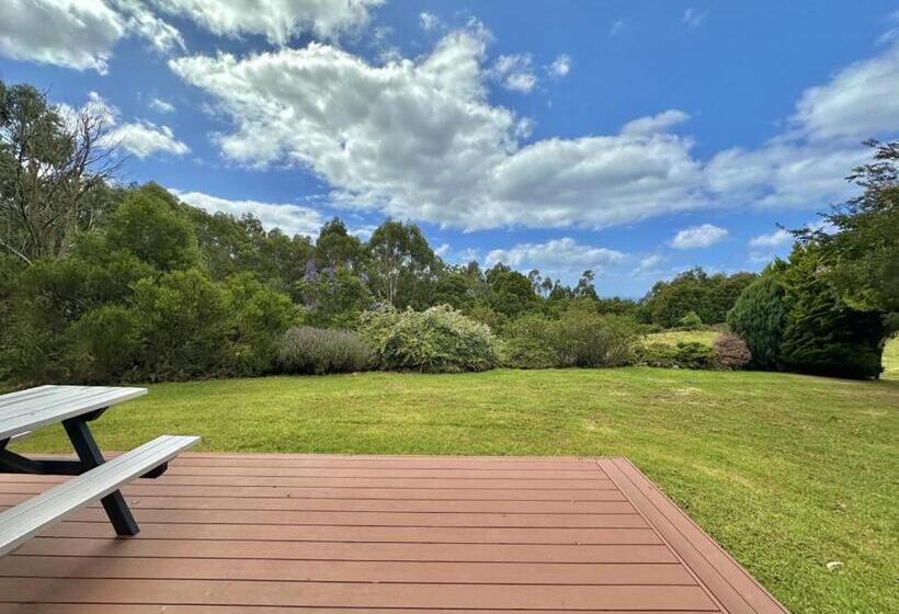 Отель Kahmahnee   Apollo Bay Dog Friendly Retreat