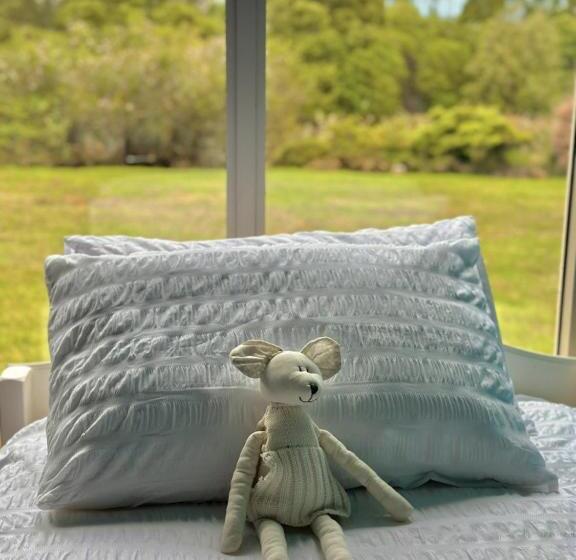 Отель Kahmahnee   Apollo Bay Dog Friendly Retreat