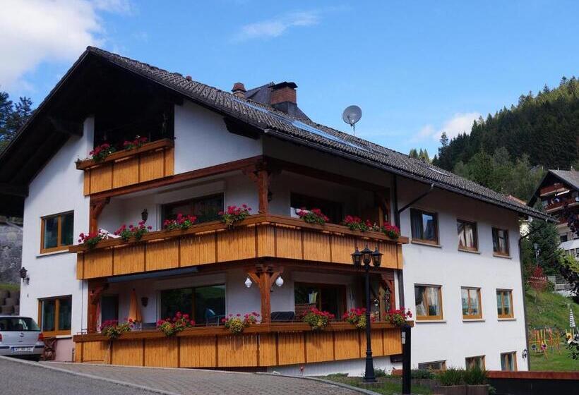 Пансион Gästehaus Hanni