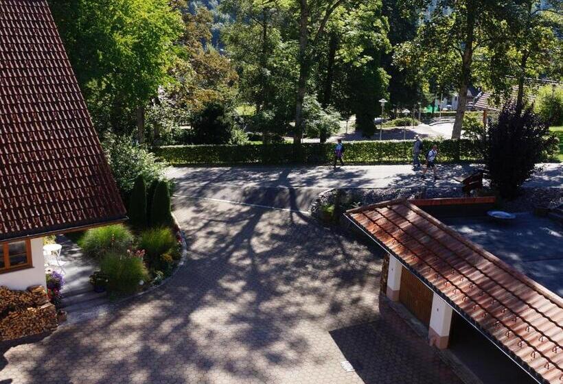 Пансион Gästehaus Hanni