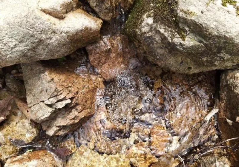 Majatalo Sangjoo Munjangdae Healing House