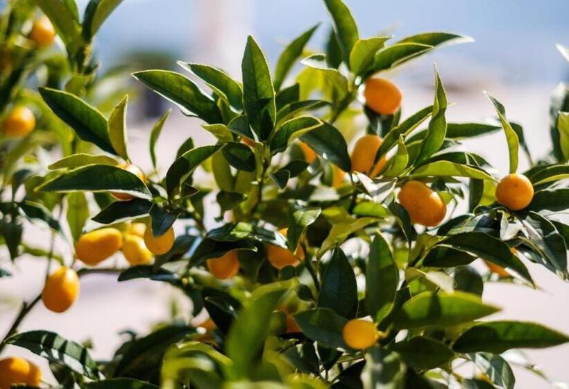 בית מלון כפרי Eden Roc Marina