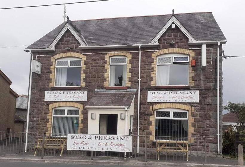 호스텔 Stag And Pheasant Inn