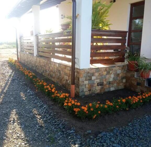 Agropensiunea Traian