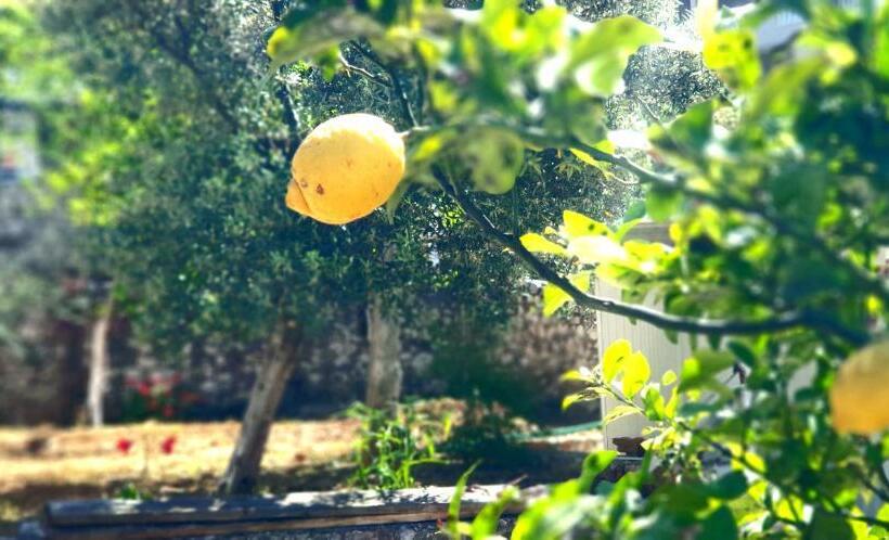 Bed and Breakfast Albania Dream Holidays Apartment Ksamil