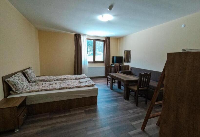 بنسيون къща за гости степет