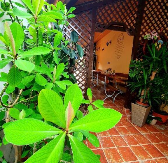 بنسيون Casa Viselor De Vară