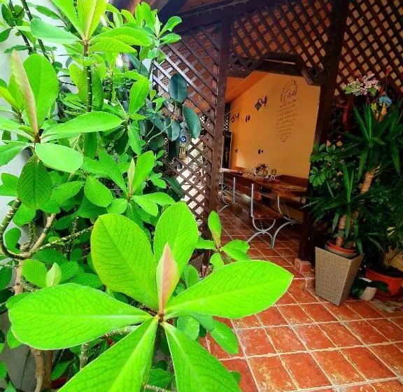ペンション Casa Viselor De Vară